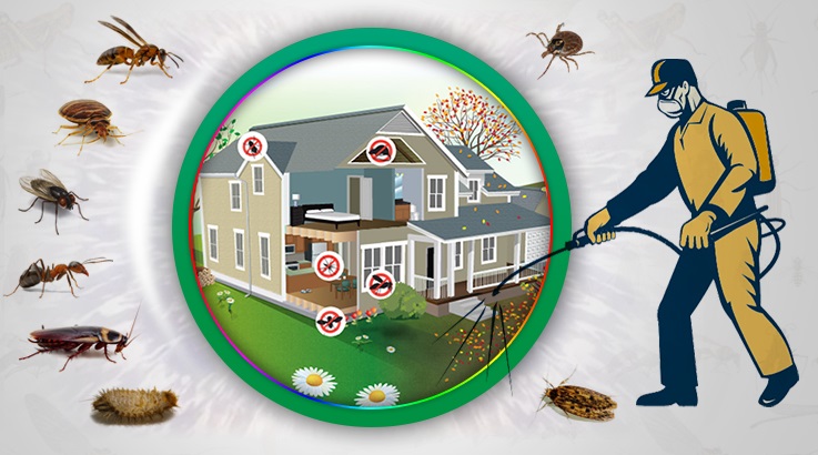 Çamlık Böcek İlaçlama